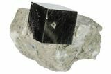 Natural Pyrite Cube In Rock From Spain #82076-1